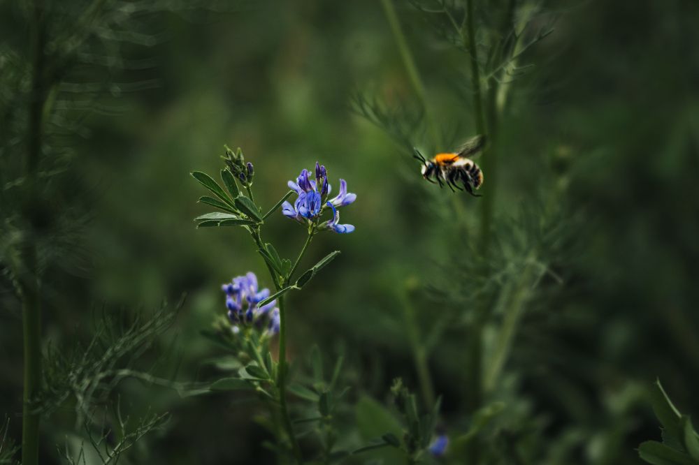 Photograph by Aga Kucinska