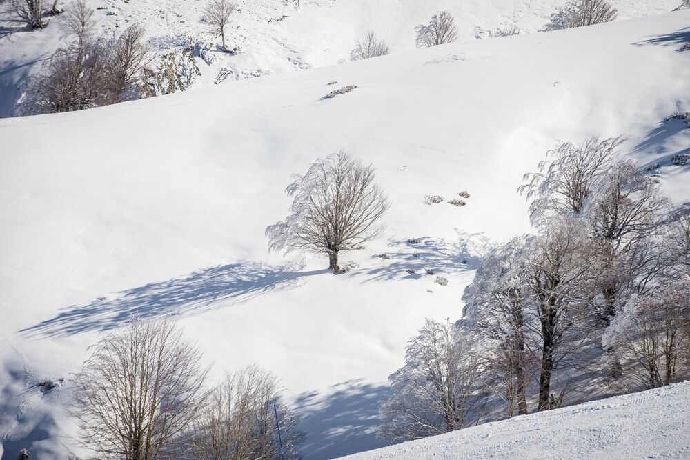 Photograph by Alexandros Melidis
