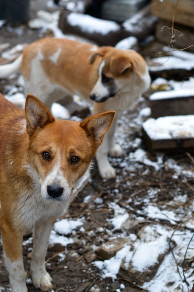 Photograph by Оксана