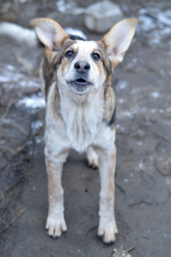 Photograph by Оксана