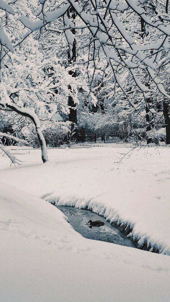 Photograph by Кира