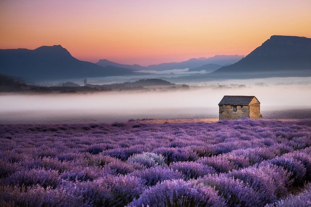 Photograph by AGUINALDO MATOS