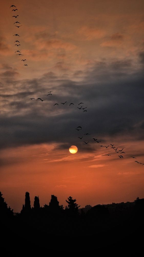 Photograph by Isa Demirhan