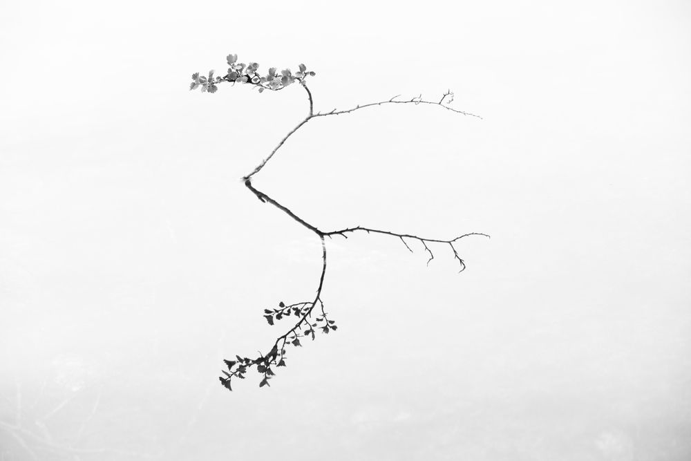 Photograph by Ольга Крицак