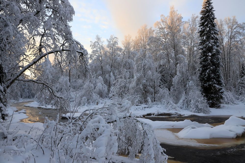 Photograph by елена