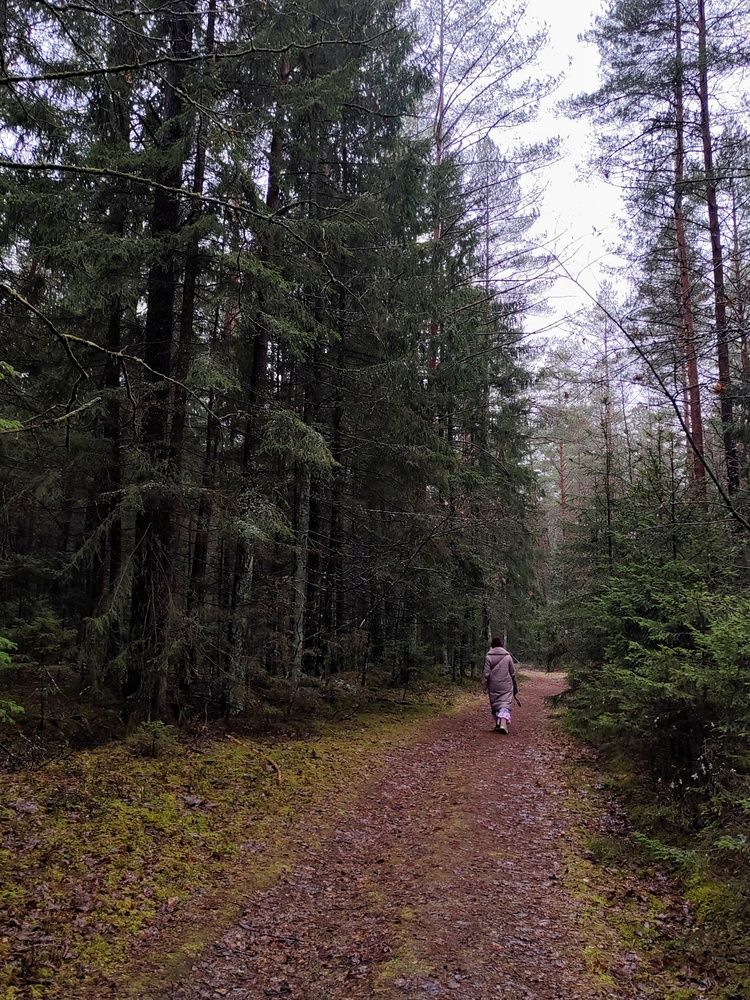 Photograph by Екатерина Жи