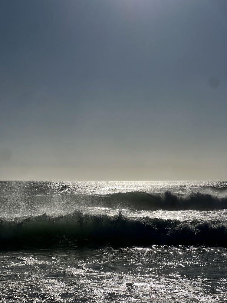 Photograph by Isabela M. Brum