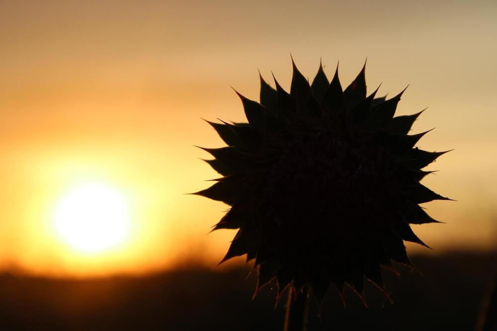 Photograph by Юлия Чурина