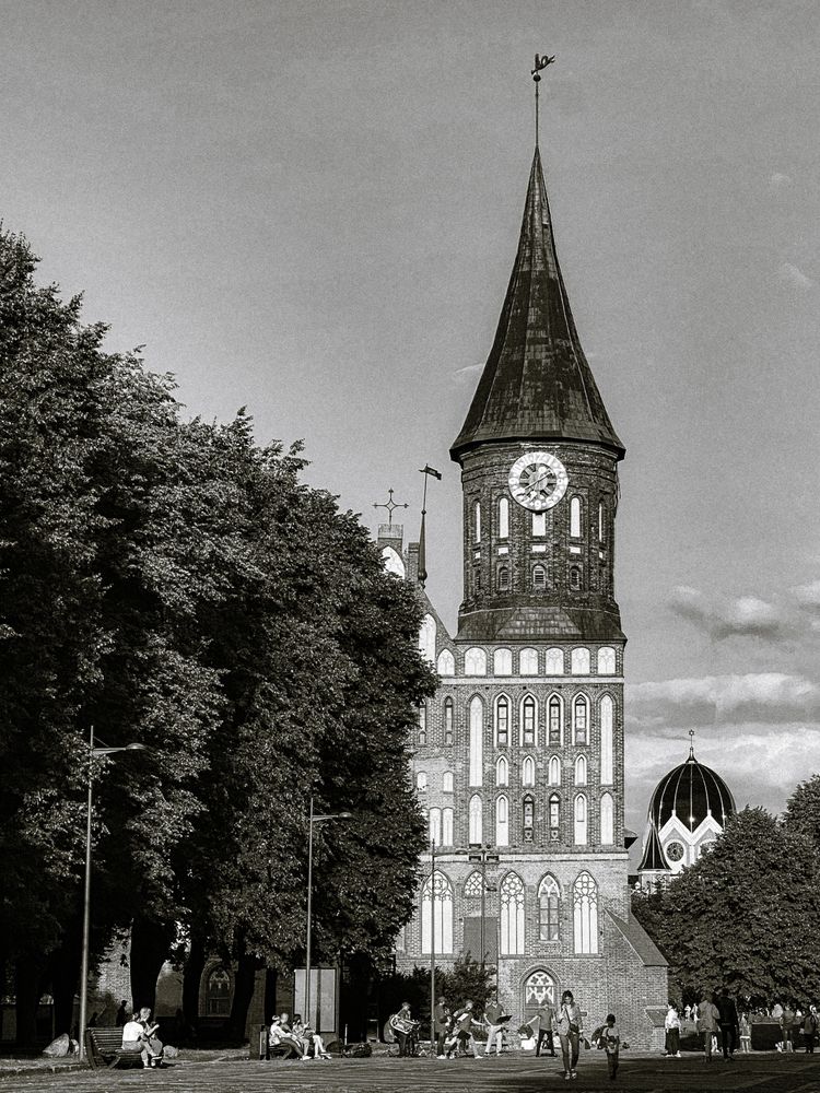 Photograph by Anna Fors