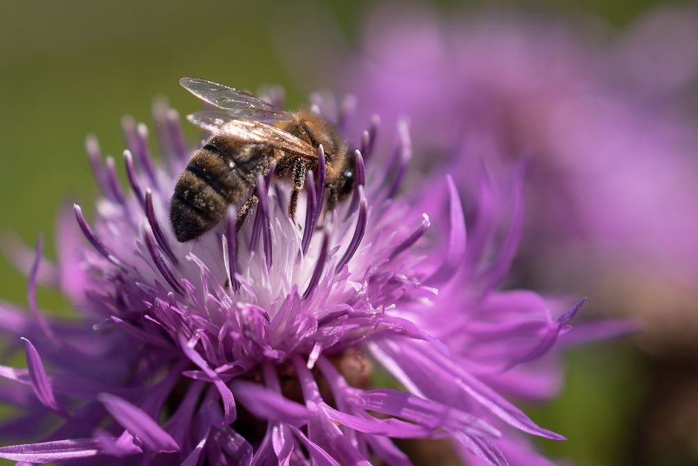 Фотография автора Войнов Дмитрий