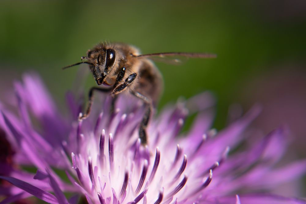 Фотография автора Войнов Дмитрий