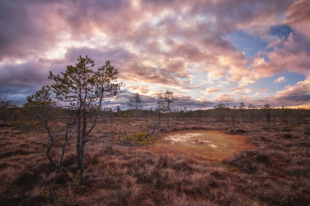 Photograph by Третьякова Анастасия