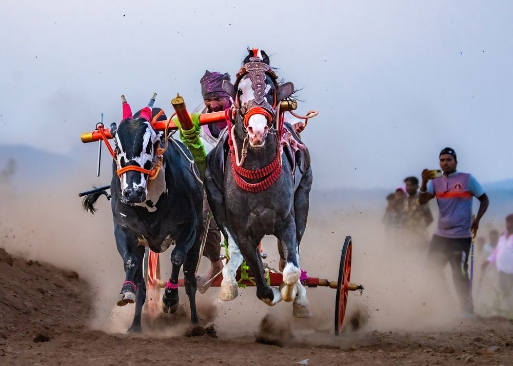 Photograph by Nitin Baste