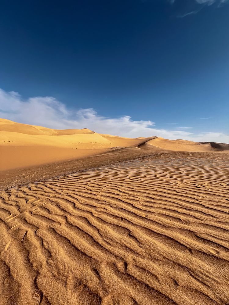 Фотография автора Maxine Noel