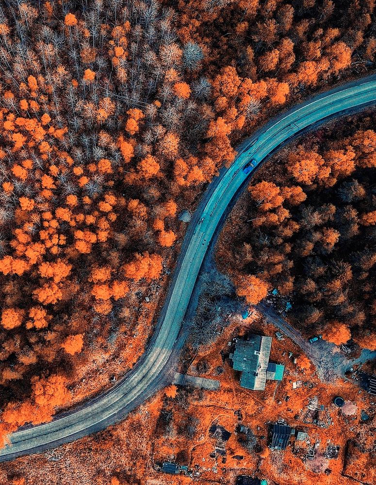 Photograph by Павел Жданов