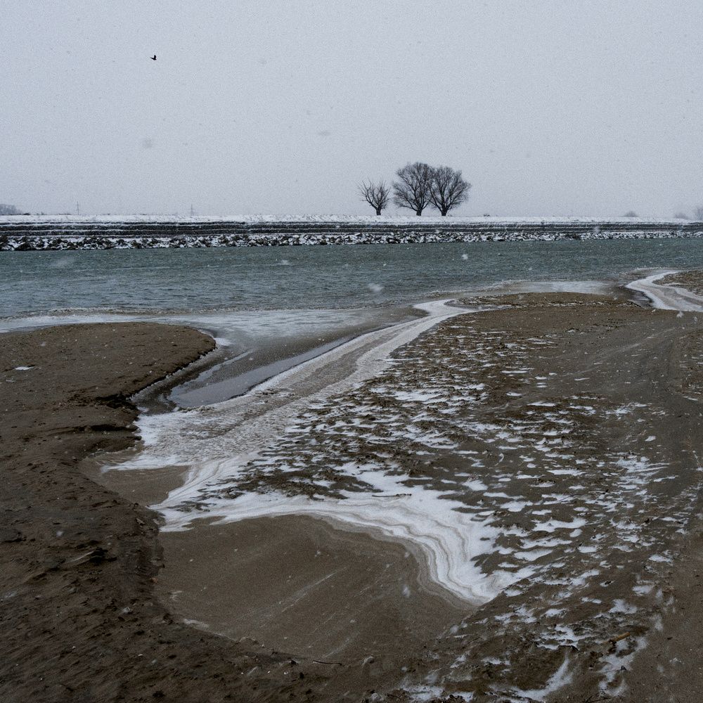 Photograph by Елена Шевченко