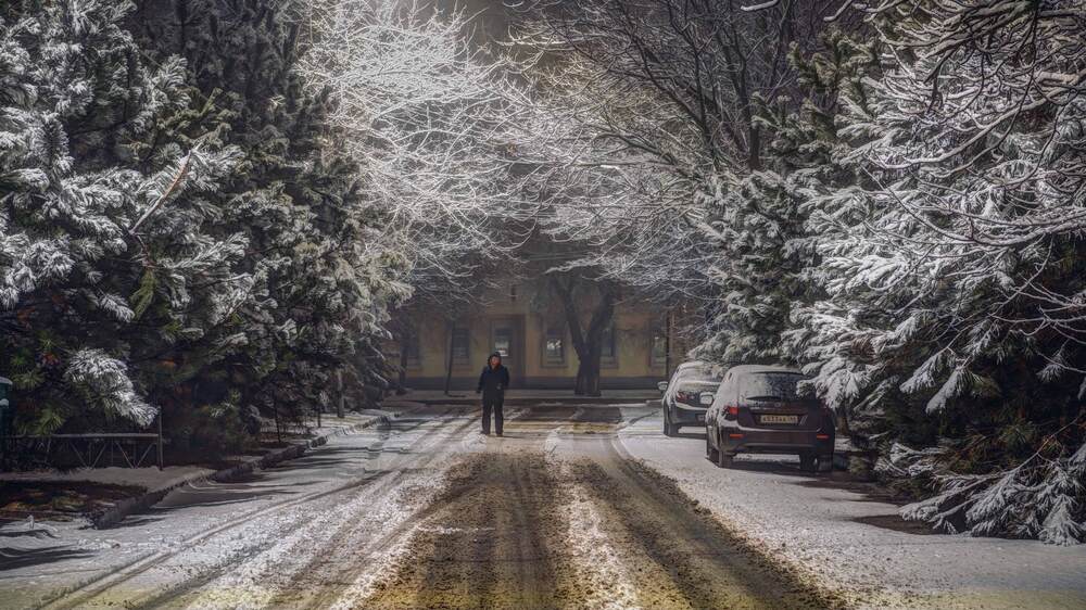 Плуночный прохожий