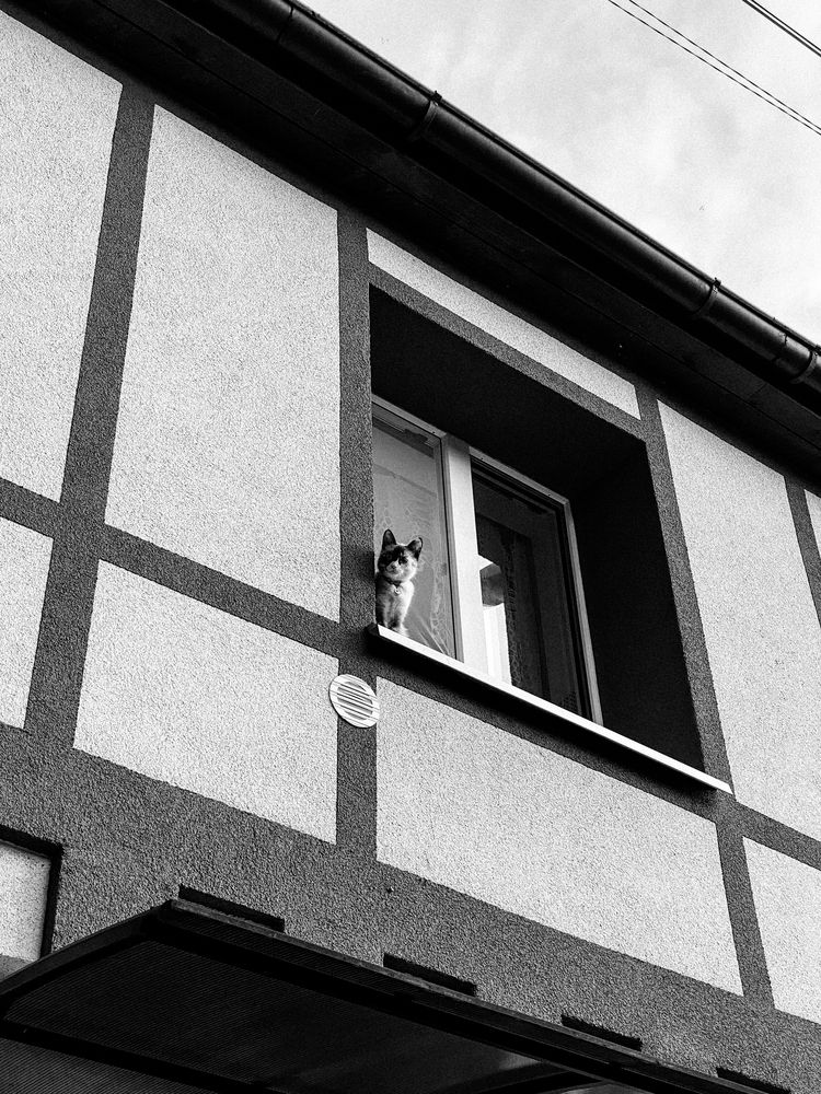 Photograph by Anna Fors