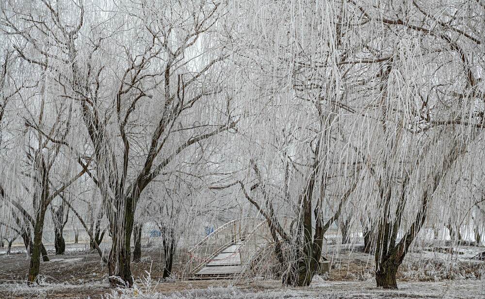 Слияние реки с морем