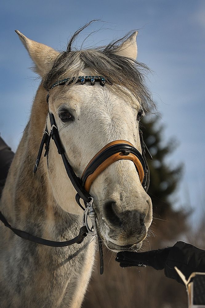 Фотография автора Анна Абрамова