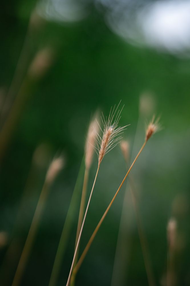 Photograph by Артём Гуцалюк