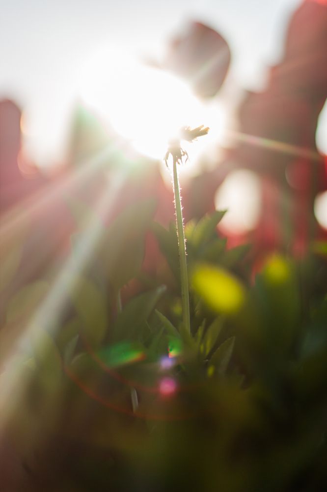 Photograph by Артём Гуцалюк