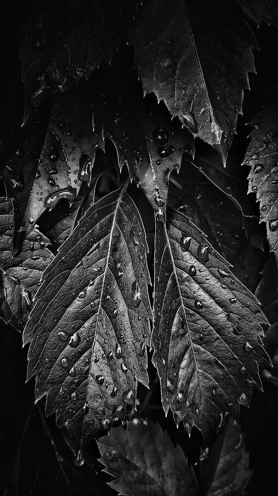 Фотография автора Шамиль