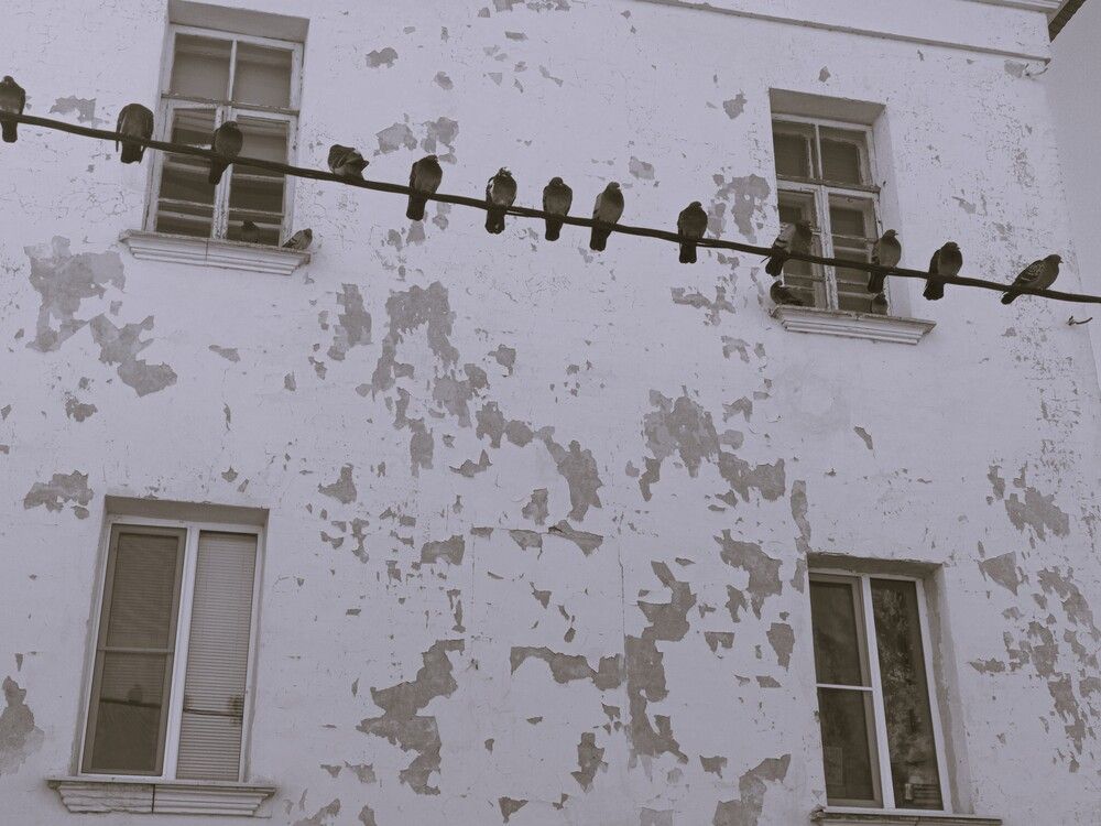 Photograph by Мария Лаврухина
