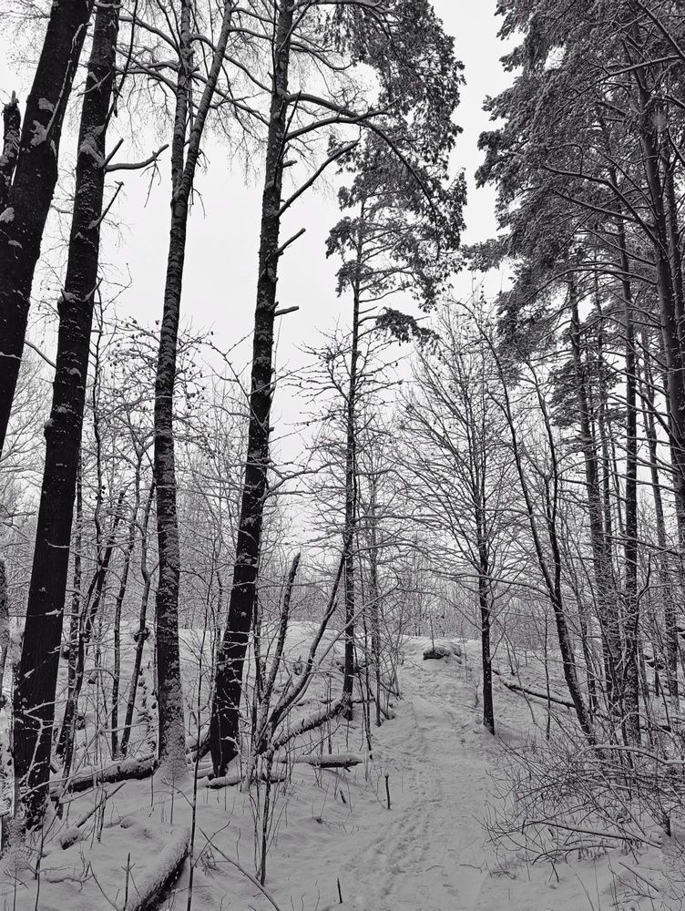 Photograph by Наталья Романова