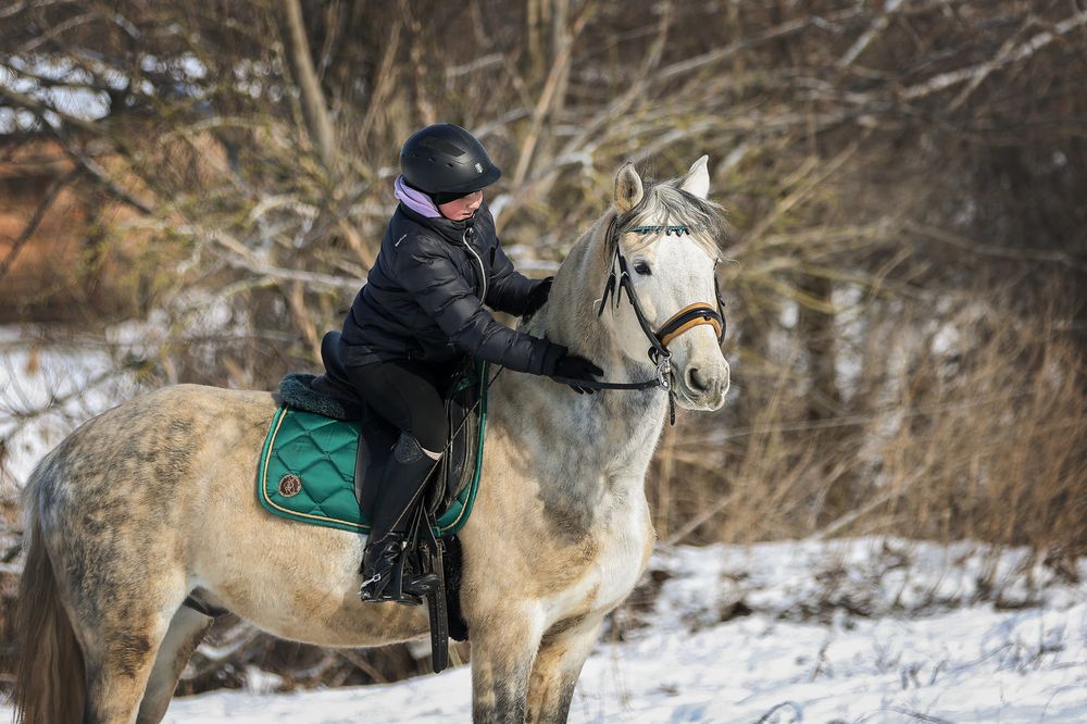 Фотография автора Анна Абрамова