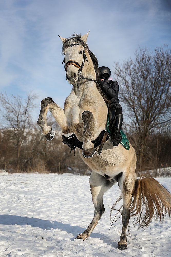 Фотография автора Анна Абрамова