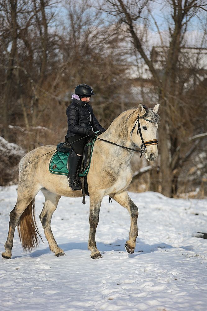 Фотография автора Анна Абрамова