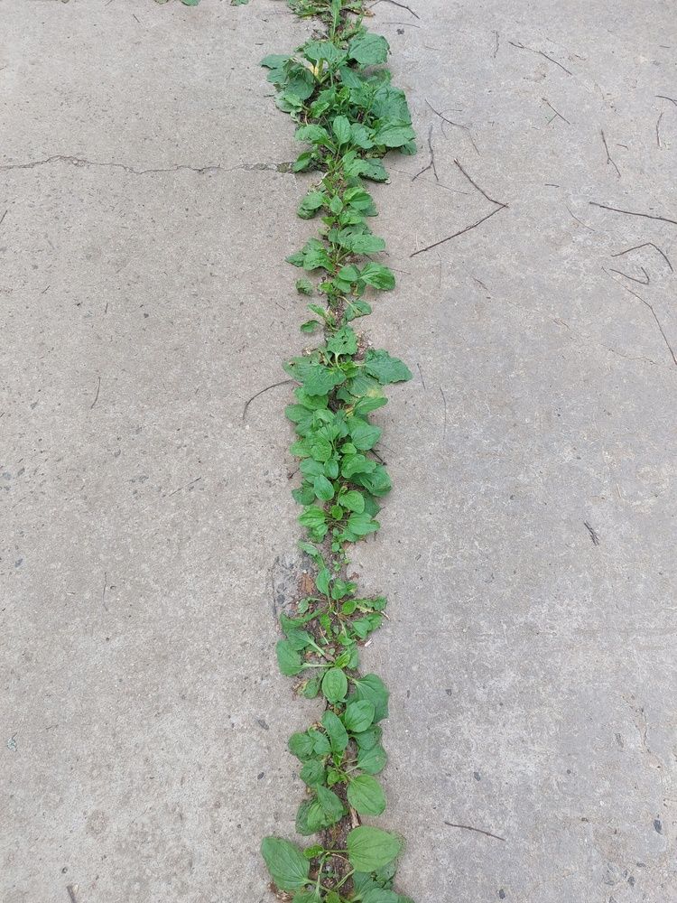 Фотография автора Sergey Nik