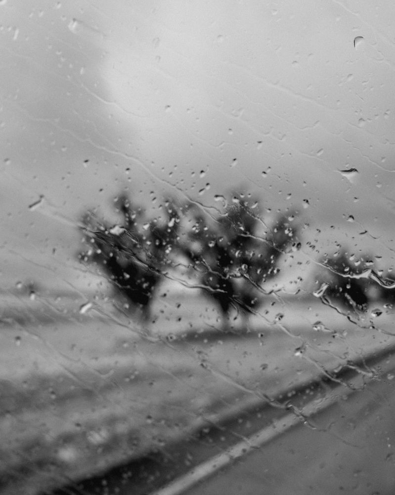 Фотография автора Max Levin