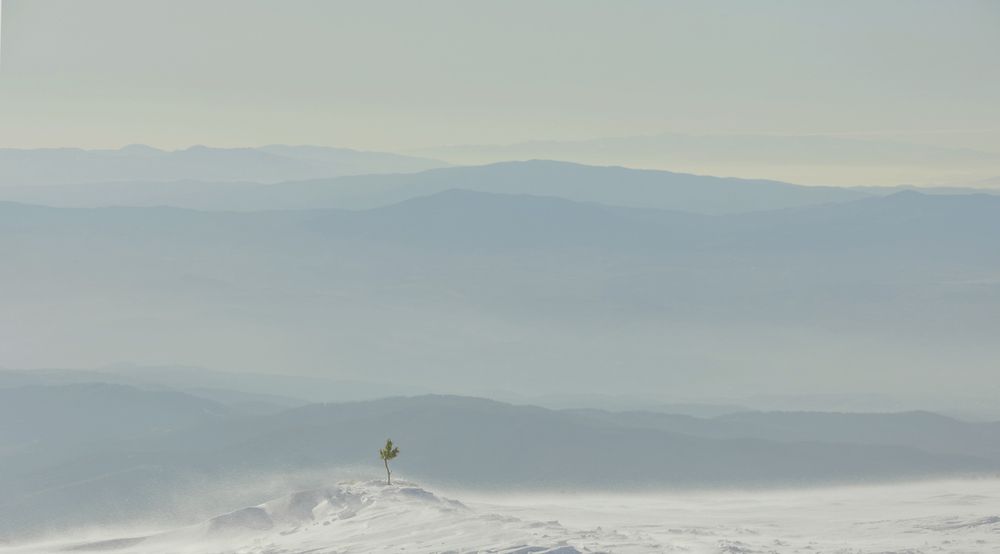 Photograph by Taтьяна Войлокова