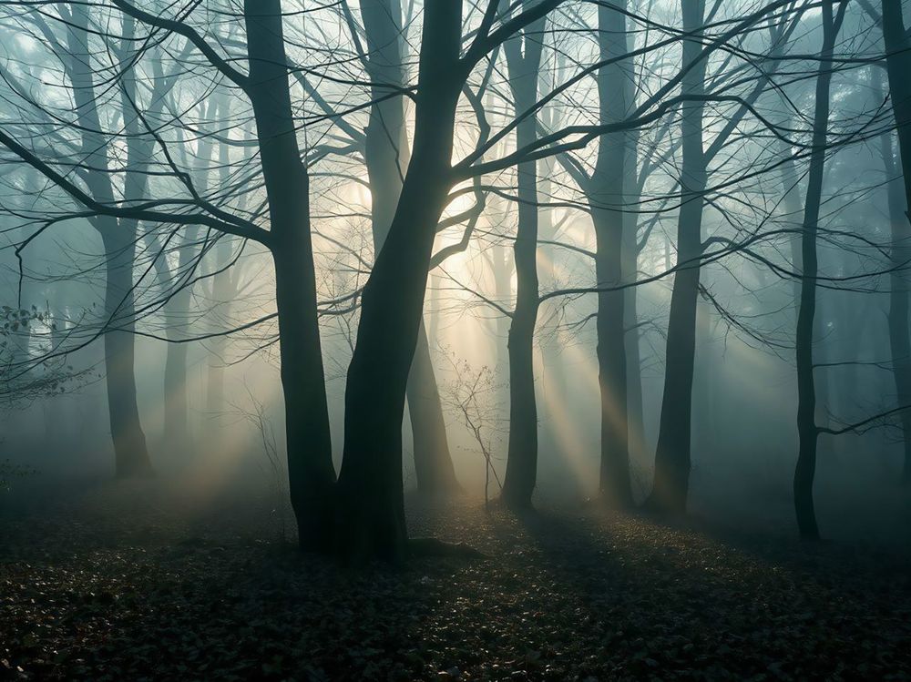 Photograph by Виталий Девяткин