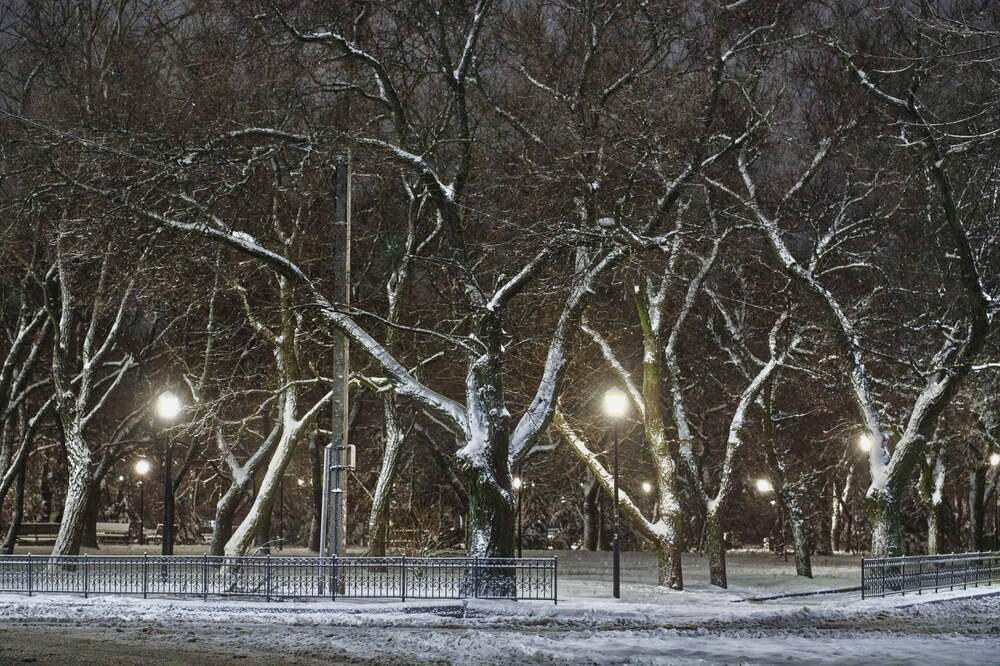 Зимний сквер