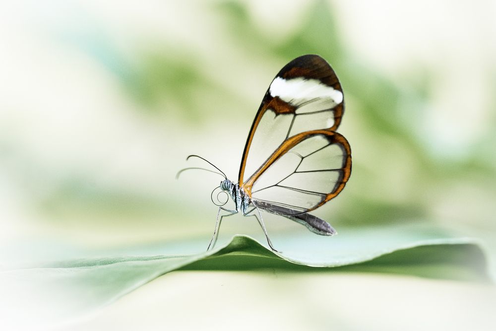 Photograph by Jesus Frias