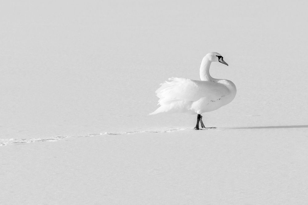 Photograph by Валерия Трейтяк