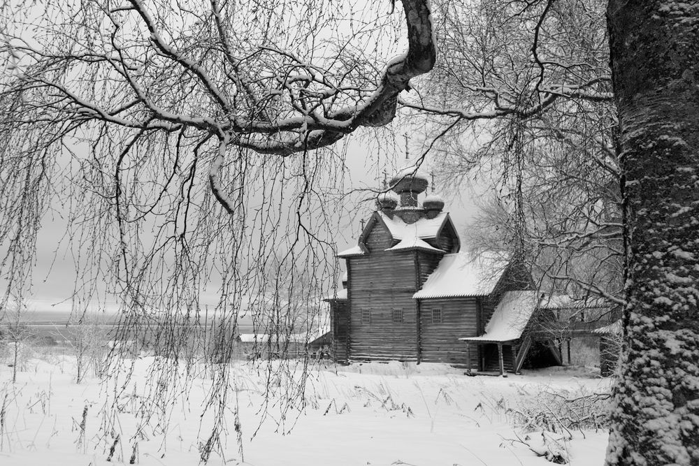 Photograph by Ольга Крицак