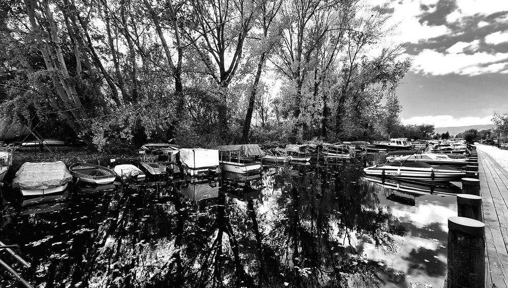 Photograph by Stojan Saveski