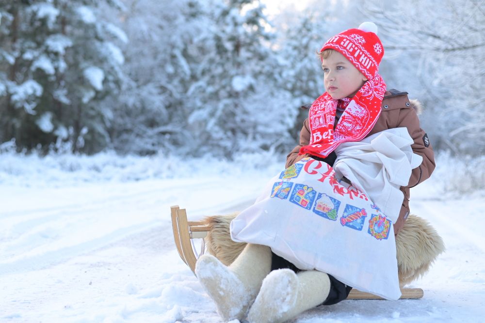 Новогодние прогулки по лесу