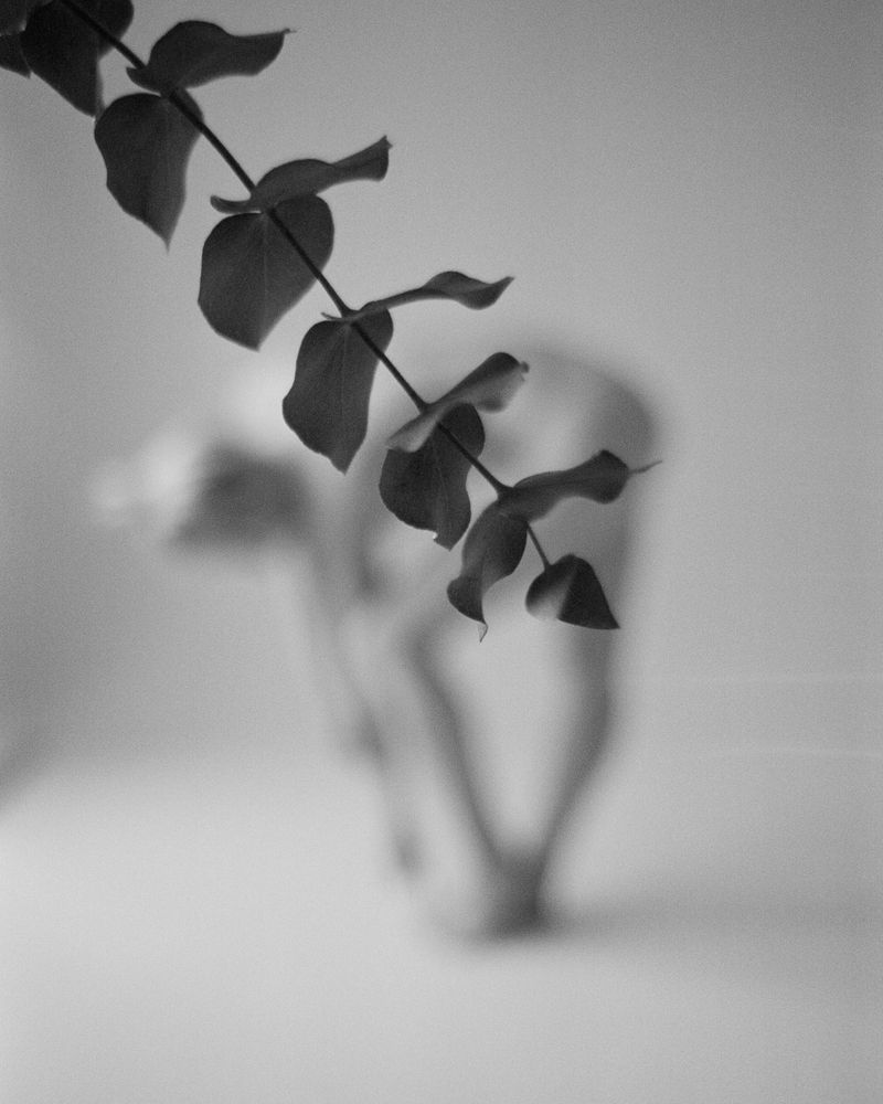 Photograph by Вика Шац