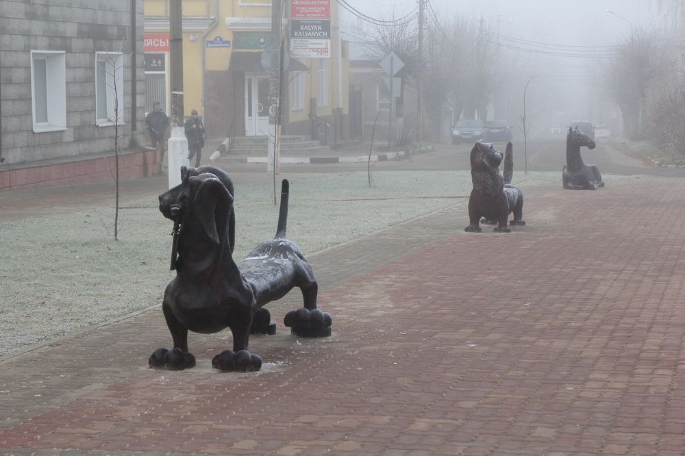 Photograph by Наталья Верхотурова