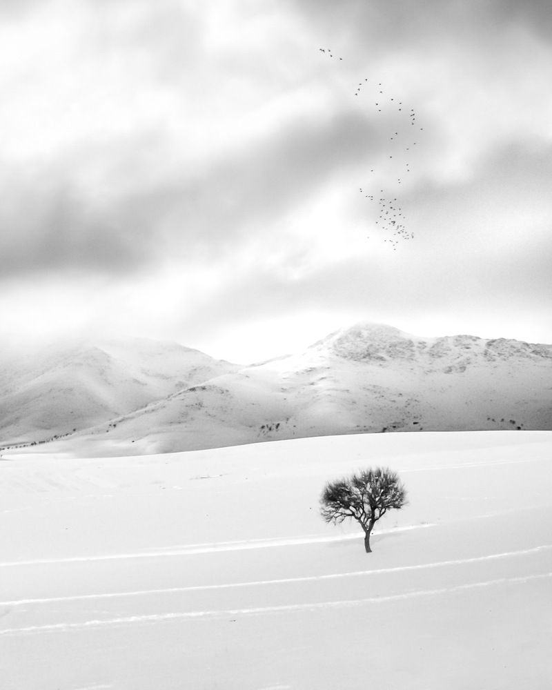 Photograph by keyhan maserat