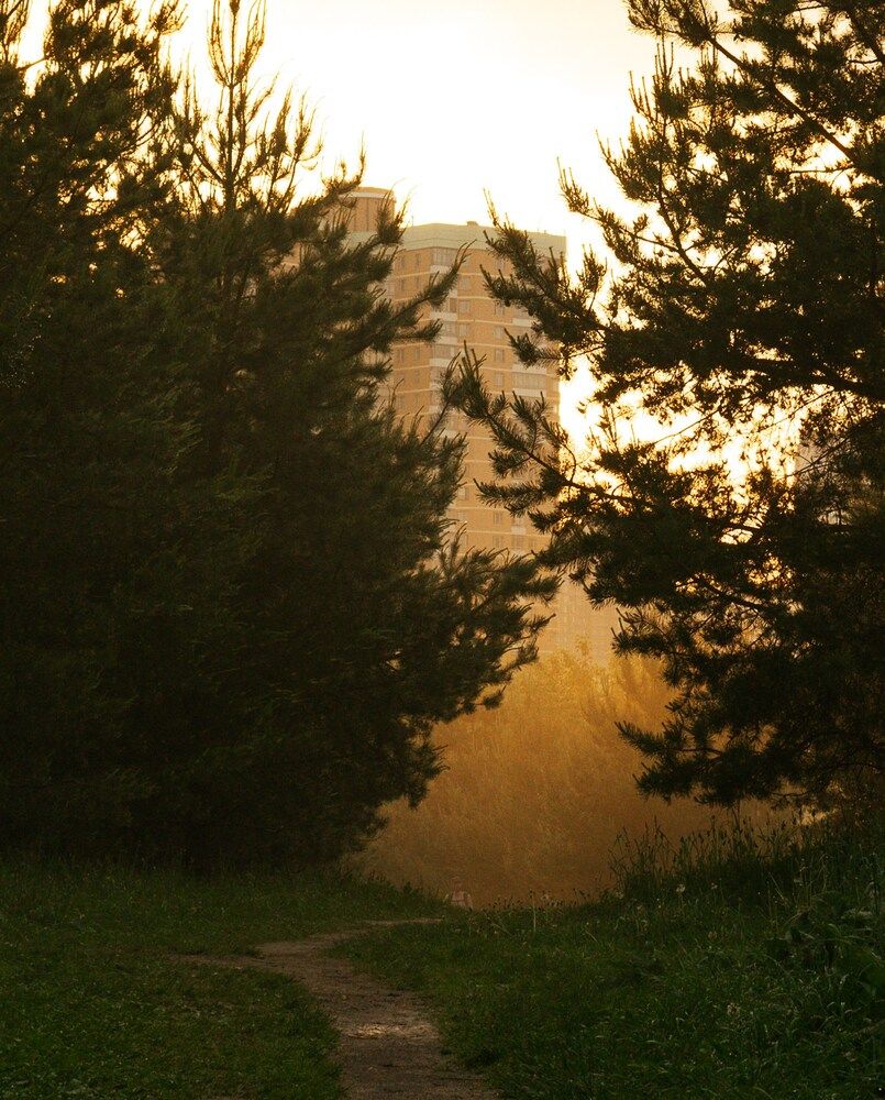 После дождя