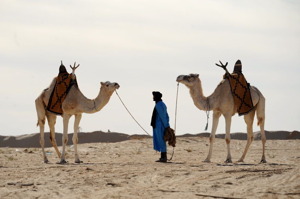 Photograph by Tatem photography