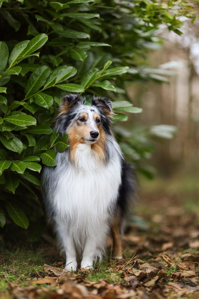 Фотография автора Veronika