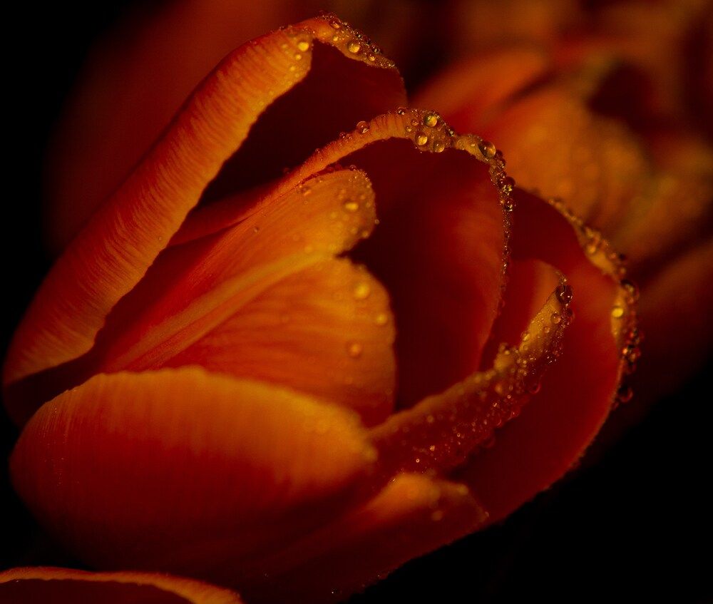 Свет и цвет