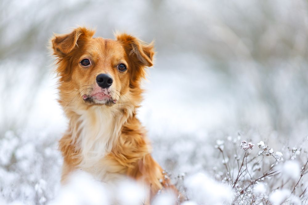 Фотография автора Veronika